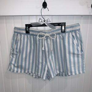 Aerie Blue & White Striped Shorts